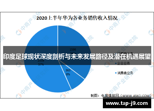 印度足球现状深度剖析与未来发展路径及潜在机遇展望