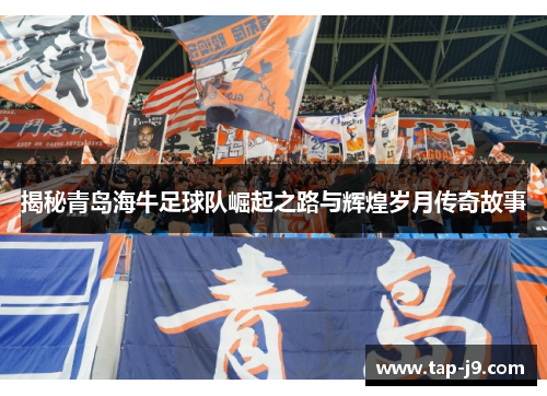 揭秘青岛海牛足球队崛起之路与辉煌岁月传奇故事