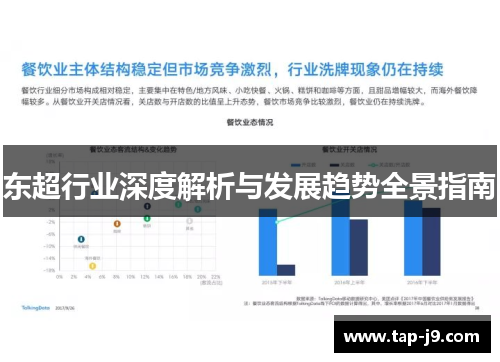 东超行业深度解析与发展趋势全景指南
