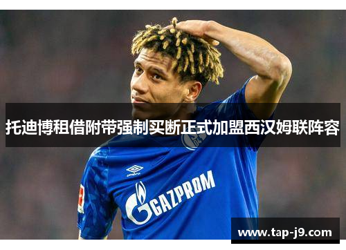 托迪博租借附带强制买断正式加盟西汉姆联阵容