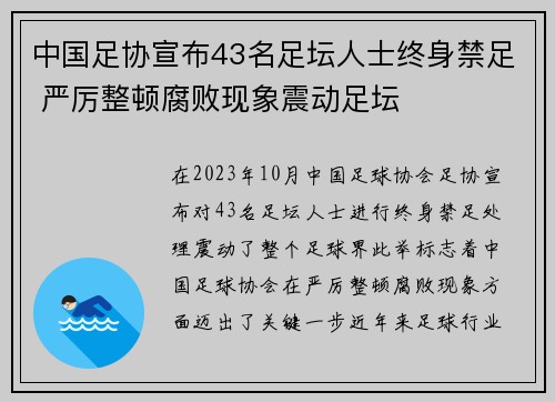 中国足协宣布43名足坛人士终身禁足 严厉整顿腐败现象震动足坛 中国足协宣布43名足坛人士终身禁足 严厉整顿腐败现象震动足坛